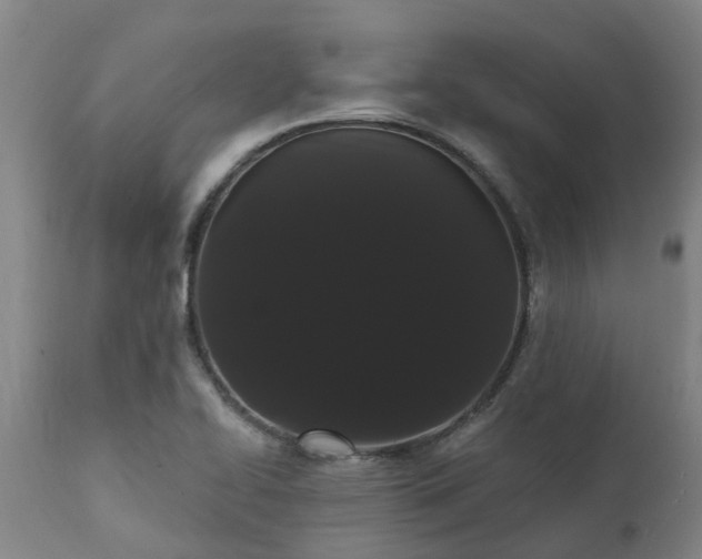 X0000111461414200907201103