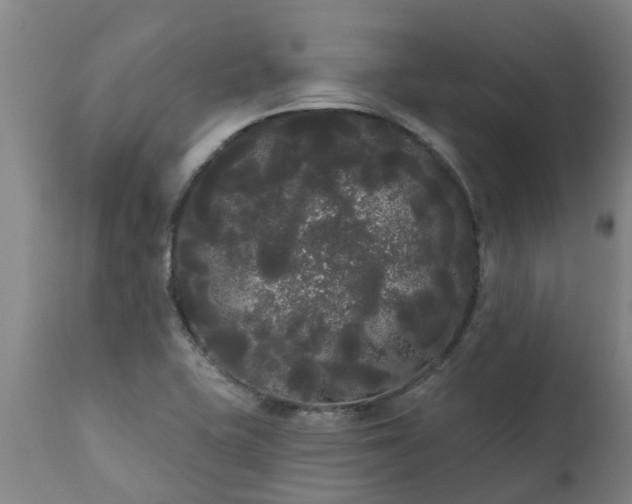 X0000111461415200907201103