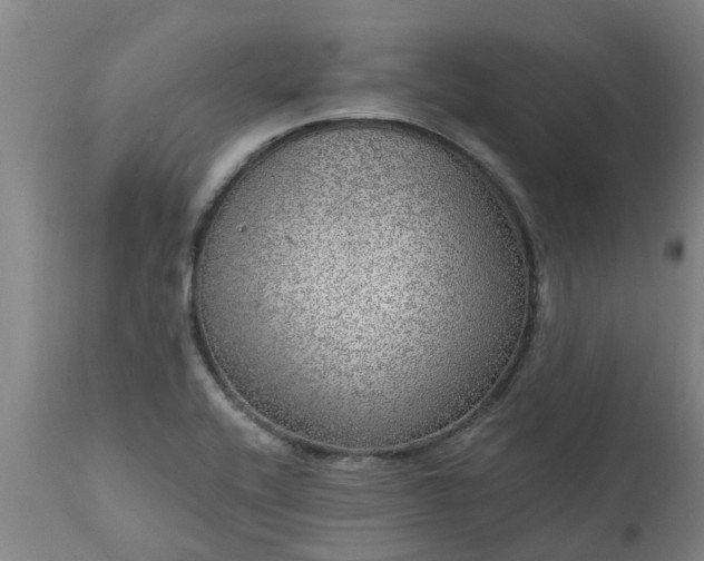 X0000111461416200907201103