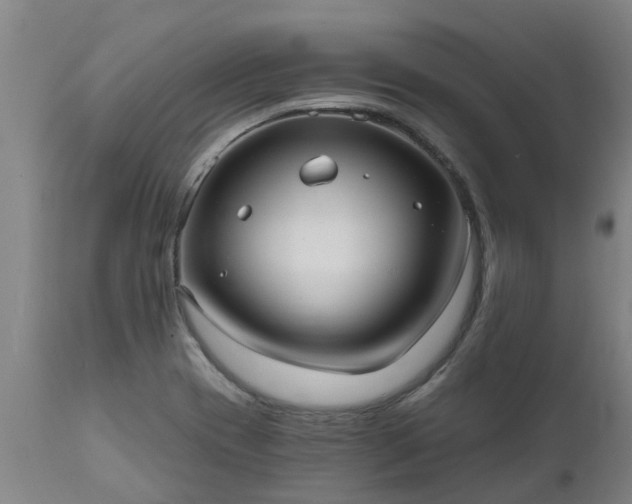 X0000111461417200907201103