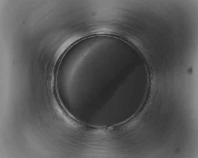 X0000111461418200907201103