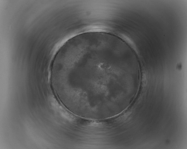 X0000111461419200907201103