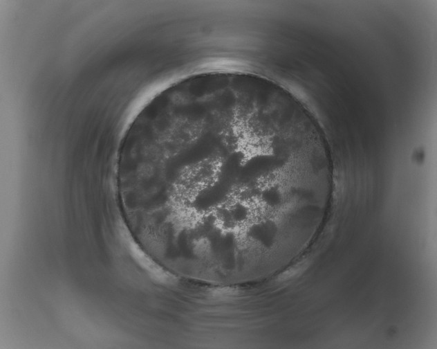 X0000111461421200907201103