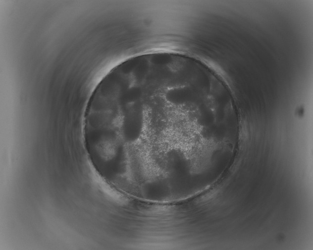 X0000111461423200907201103