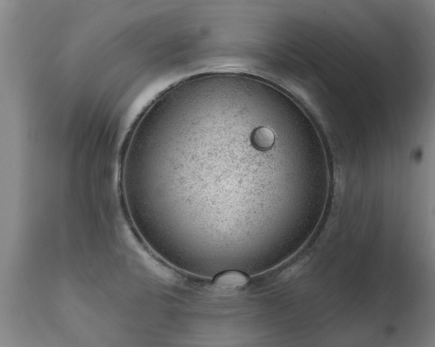 X0000111461424200907201103