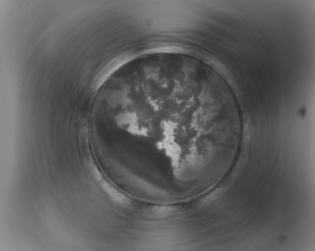 X0000111461425200907201103