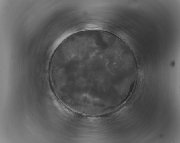 X0000111461427200907201103