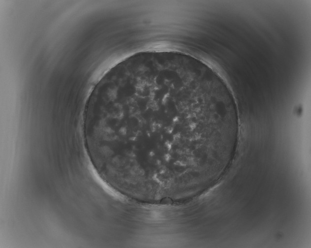 X0000111461429200907201103