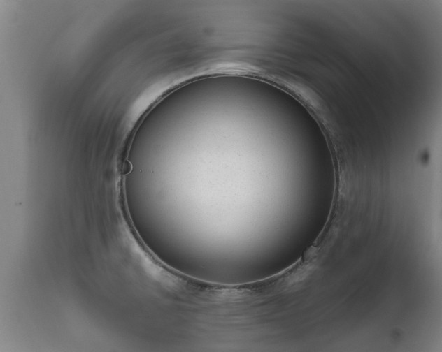 X0000111461430200907201103