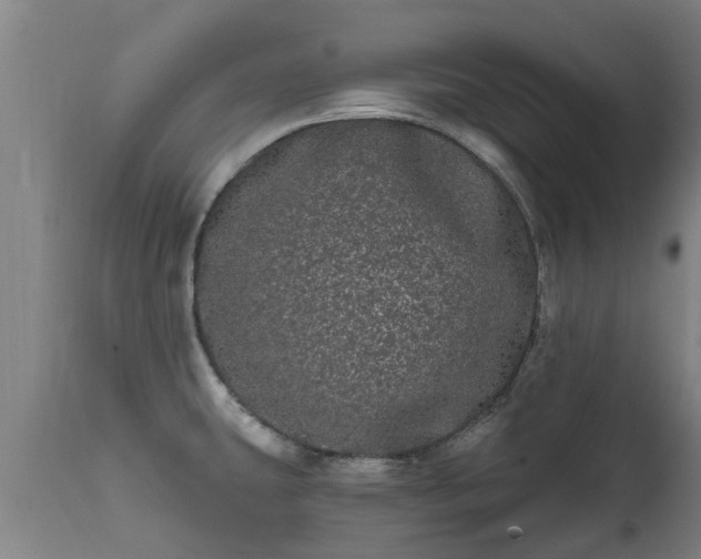 X0000111461431200907201103