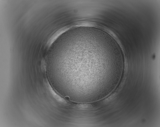 X0000111461433200907201103