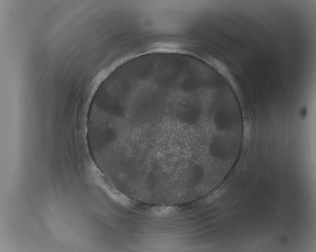 X0000111461435200907201103