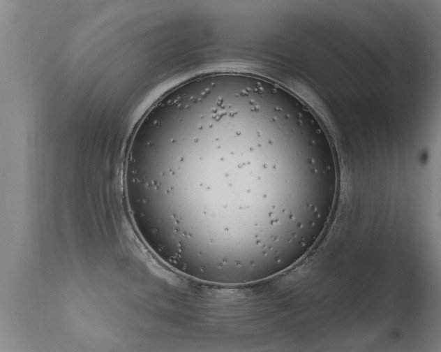 X0000111461436200907201103