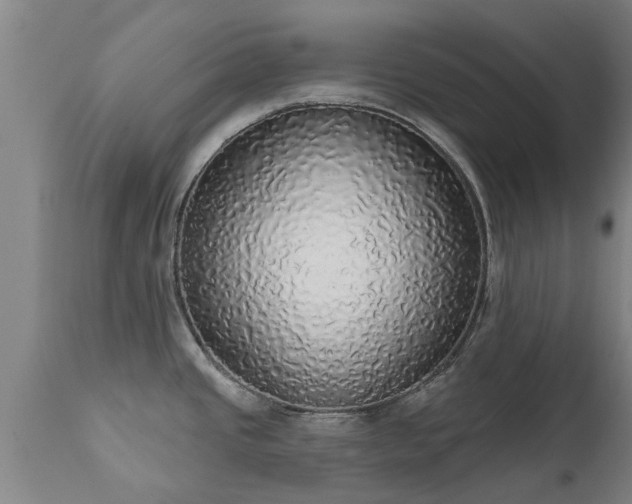 X0000111461437200907201103