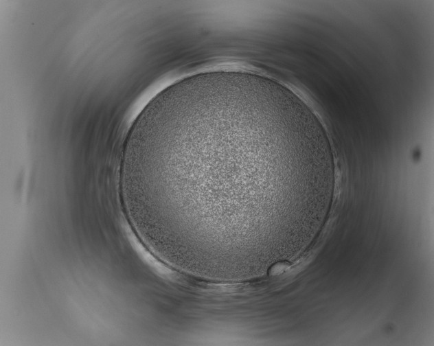 X0000111461438200907201103