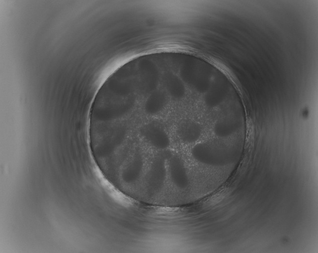 X0000111461439200907201103