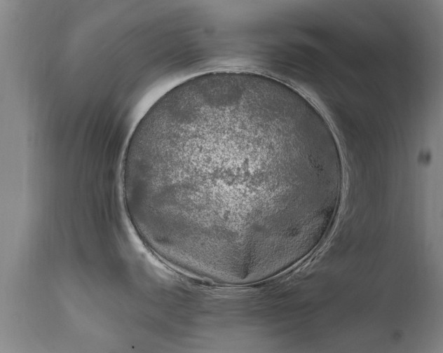 X0000111461440200907201103