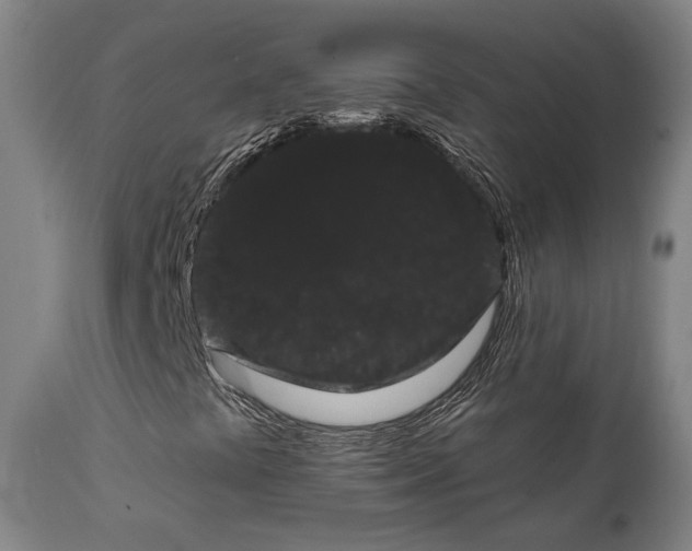 X0000111461441200907201102