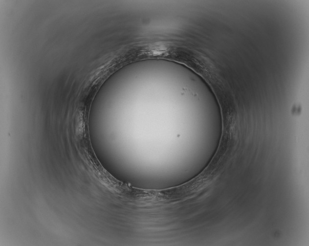 X0000111461442200907201102