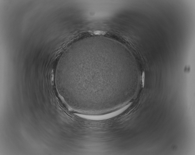 X0000111461443200907201102