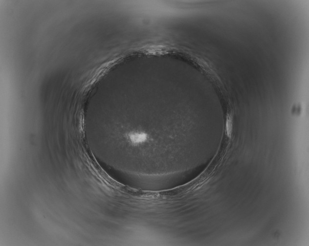 X0000111461444200907201102