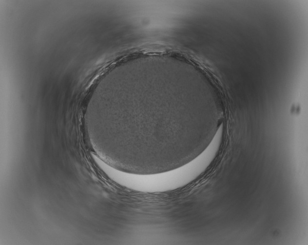 X0000111461445200907201102