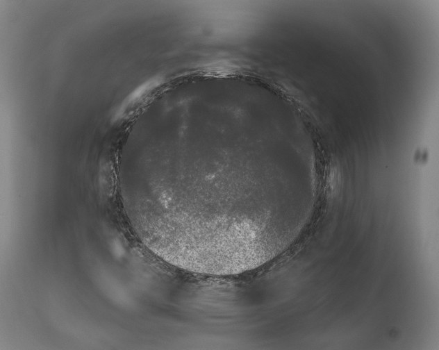 X0000111461446200907201102