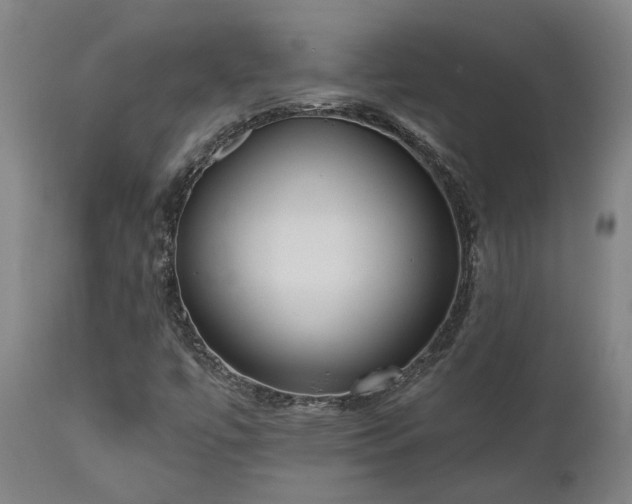 X0000111461447200907201102