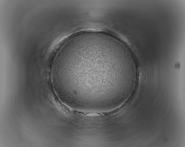 X0000111461448200907201102