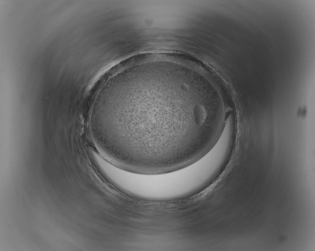 X0000111461449200907201102