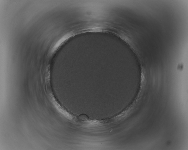 X0000111461450200907201102