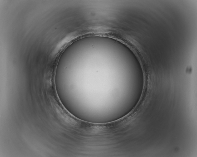 X0000111461451200907201102