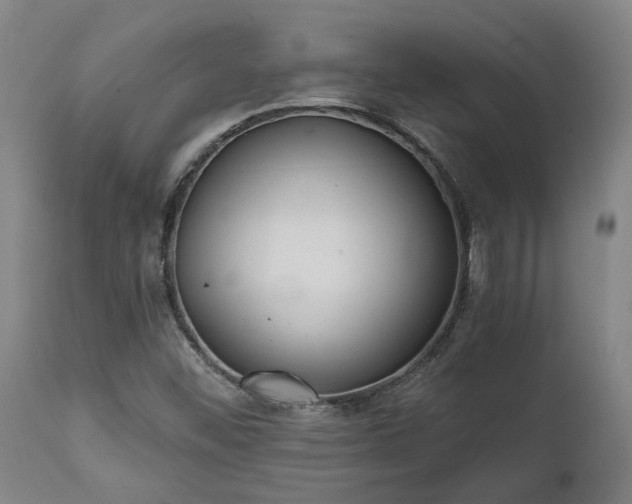 X0000111461452200907201102