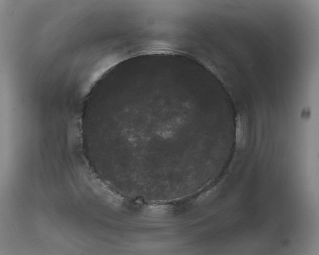 X0000111461453200907201102