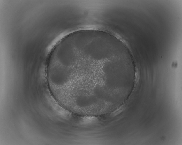 X0000111461454200907201102