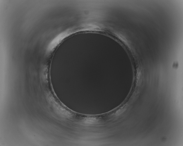 X0000111461455200907201102