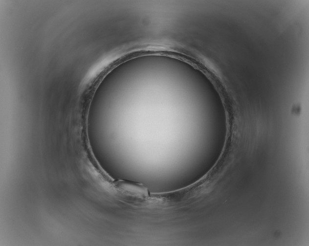 X0000111461456200907201102