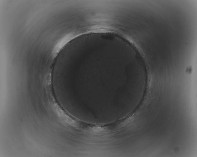 X0000111461459200907201102