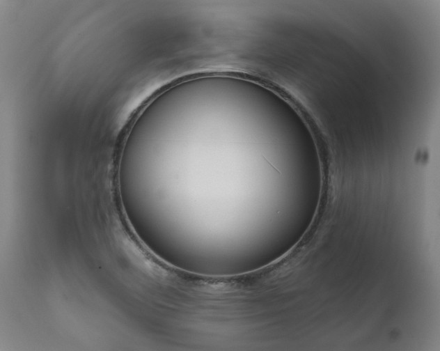 X0000111461460200907201102