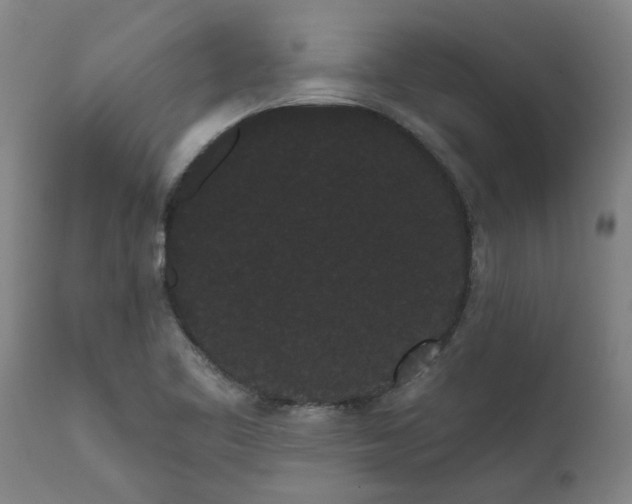 X0000111461461200907201102