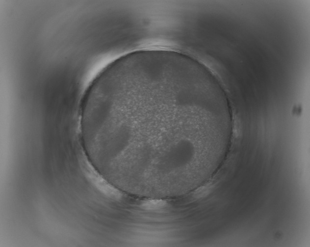 X0000111461462200907201102