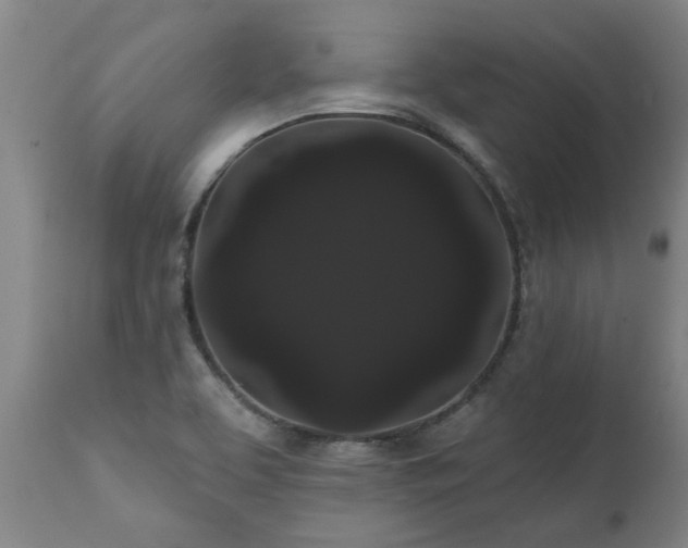 X0000111461463200907201102