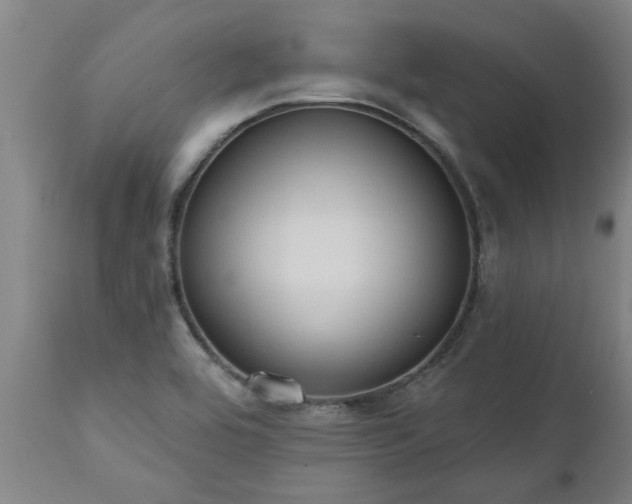 X0000111461464200907201102