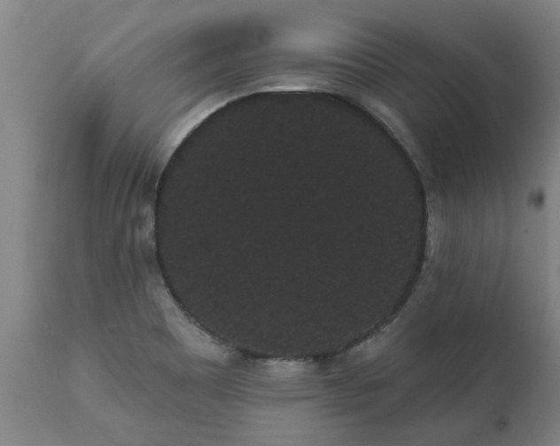 X0000111461465200907201102