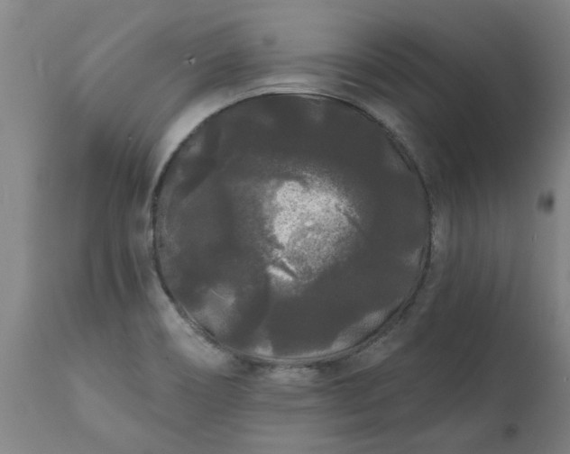 X0000111461466200907201102