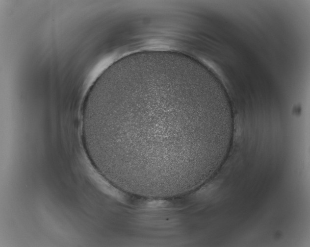 X0000111461467200907201102