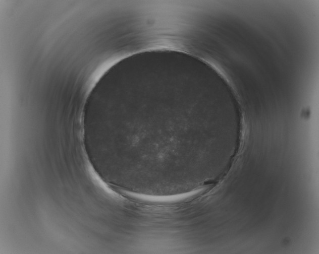 X0000111461468200907201102