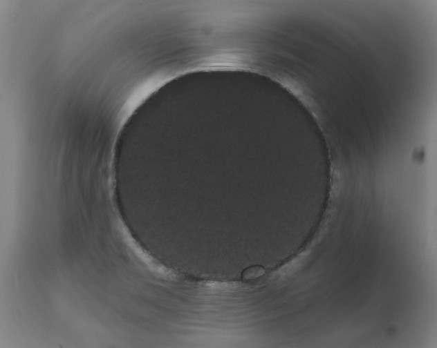 X0000111461469200907201102