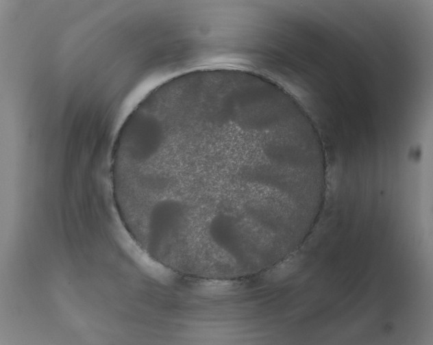 X0000111461470200907201102