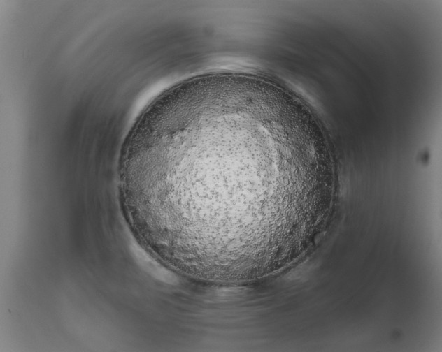 X0000111461471200907201102